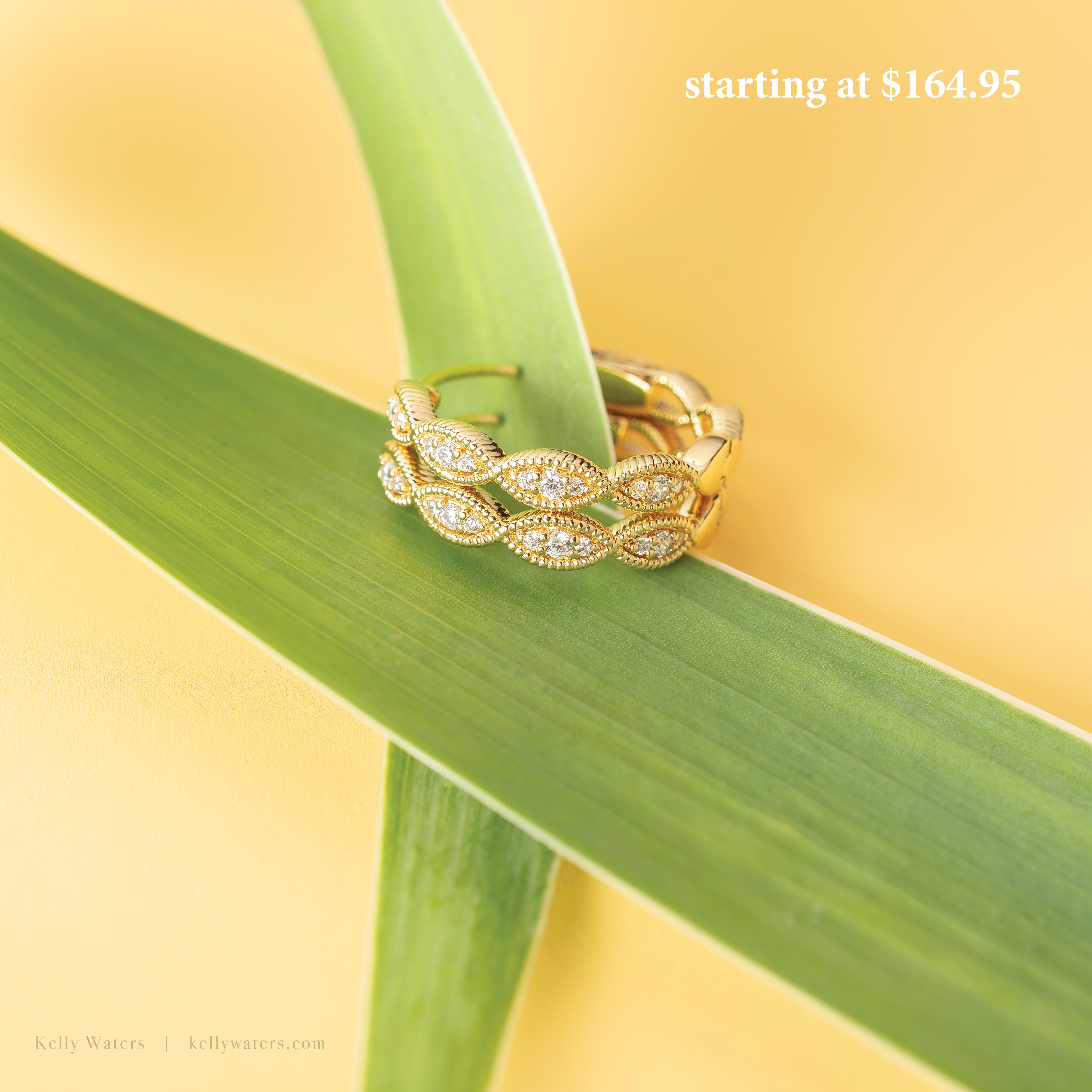 KW-PH-274A4290-9-2024-SocialMedia